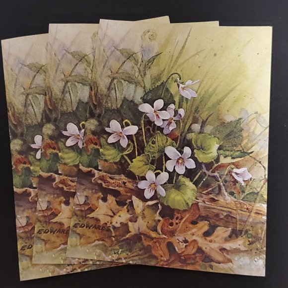 Greeting Cards (7) Red Farm Studio White Violets - Picture 4 of 7